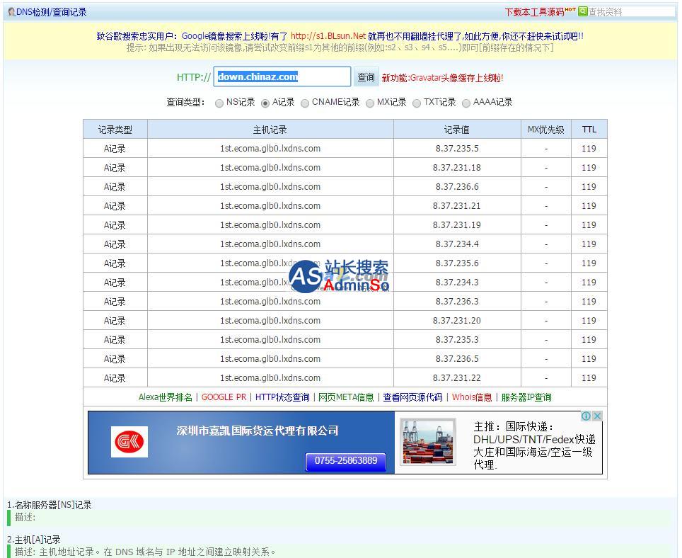 DNS检测/查询记录 演示图片